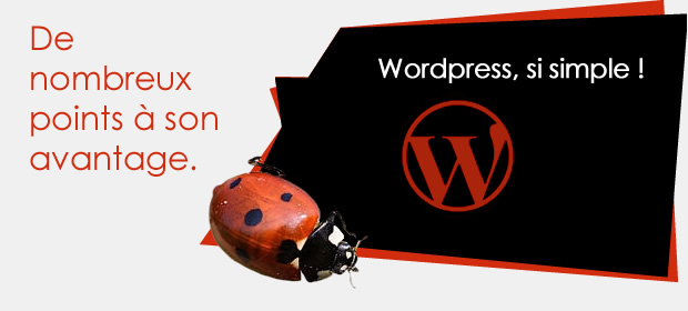 Wordpress dans le Gers. De nombreux avantages.
